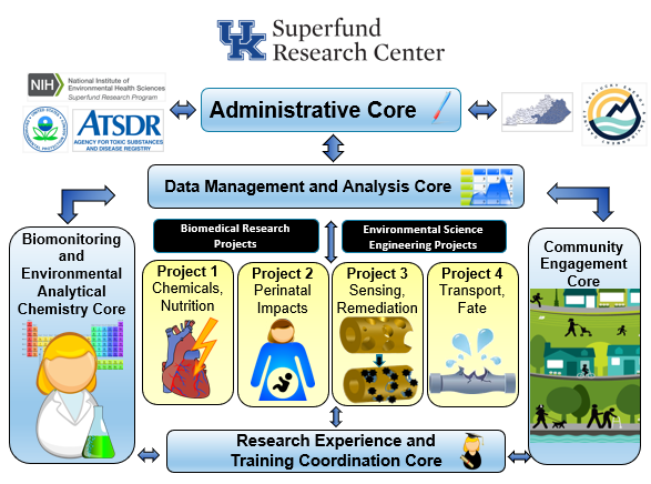 Organizational chart of UK Superfund Research Center showing Administrative Core, Data Management Core, and four interconnected cores: Biomonitoring, Biomedical Research, Environmental Science, and Community Engagement.