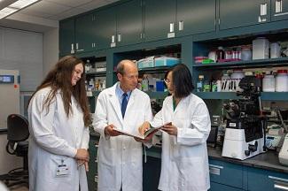 Researchers in a lab