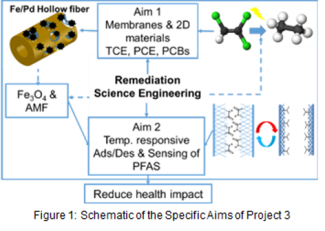 Schematic of the specific aims of Project 3