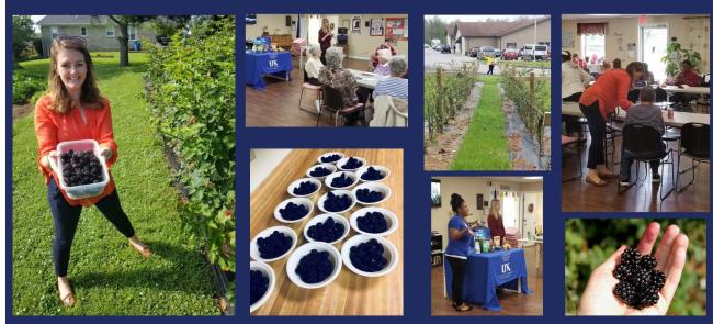 Collage of BerryCare event